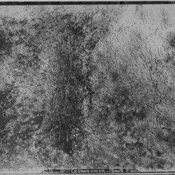 Aerial photo of front line, trenches, no man's land
