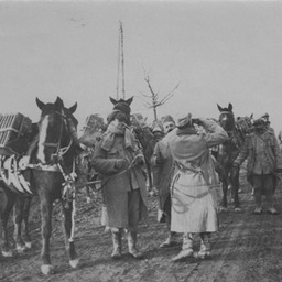 French supply line, with horses