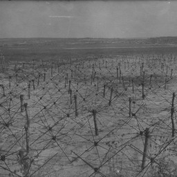 German barbed wire field, St Hilaire le Grand (Marne) 1916